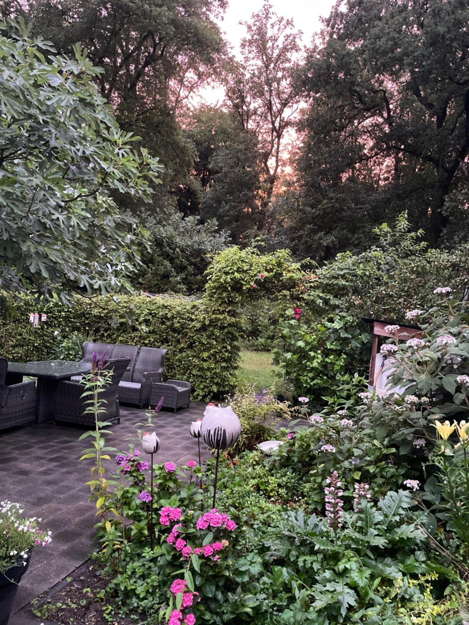 De Hooizolder Bed and Breakfast Hellendoorn Exterior foto